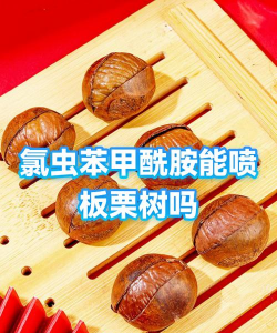 板栗树虫防治,识别常见害虫,掌握有效方法 板栗树虫防治,识别常见害虫,掌握有效方法