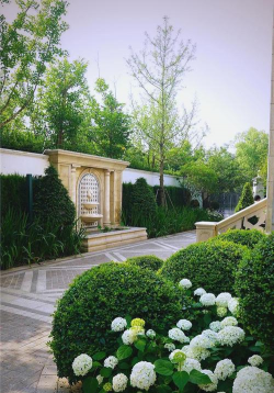 欧式绿化图案设计,提升庭院美感,打造优雅空间 欧式绿化图案设计,提升庭院美感,打造优雅空间