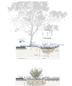 国外绿化灌溉设计,节水高效方案,打造生态景观 国外绿化灌溉设计,节水高效方案,打造生态景观