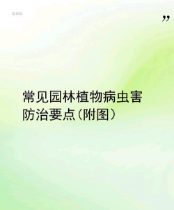 林木树虫害防治,识别常见虫害,掌握有效方法 林木树虫害防治,识别常见虫害,掌握有效方法