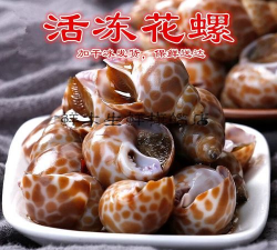 活花螺怎么养到第二天,保存技巧,延长鲜活时间 活花螺怎么养到第二天,保存技巧,延长鲜活时间