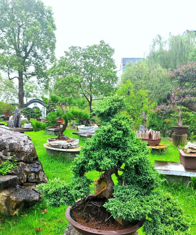 六安紫荆花怡养小镇怎么样,环境与设施,真实体验分享 六安紫荆花怡养小镇怎么样,环境与设施,真实体验分享