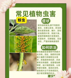 防治空心树虫,识别虫害特征,采取有效方法 防治空心树虫,识别虫害特征,采取有效方法