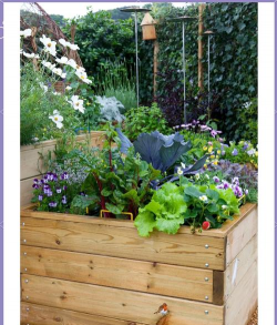 农家绿化设计要求,打造舒适环境,提升生活品质 农家绿化设计要求,打造舒适环境,提升生活品质