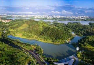 东莞绿化设计品牌,打造宜居环境,提升城市形象 东莞绿化设计品牌,打造宜居环境,提升城市形象