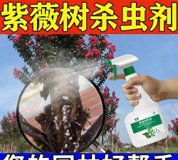 紫薇树防治蚂蚁,常见问题解析,实用方法分享 紫薇树防治蚂蚁,常见问题解析,实用方法分享