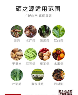 草菇高产栽培技术,掌握关键要点,轻松提升产量 草菇高产栽培技术,掌握关键要点,轻松提升产量