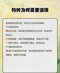 楸树枯枝防治,找准原因,对症下药 楸树枯枝防治,找准原因,对症下药