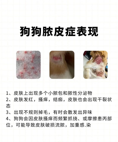 树狗子病防治,识别早期症状,采取有效方法 树狗子病防治,识别早期症状,采取有效方法