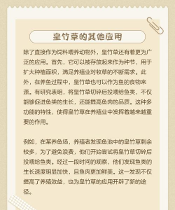 皇竹草栽培技术,掌握关键步骤,轻松实现高产 皇竹草栽培技术,掌握关键步骤,轻松实现高产