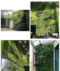 安徽墙体立体绿化设计,提升城市生态,美化居住环境 安徽墙体立体绿化设计,提升城市生态,美化居住环境