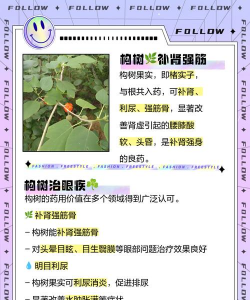 构树防治药剂,选对产品,掌握方法 构树防治药剂,选对产品,掌握方法