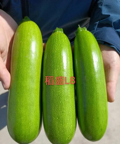 甜椒栽培,掌握关键技巧,轻松收获果实 甜椒栽培,掌握关键技巧,轻松收获果实