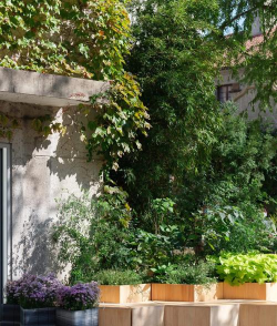 山东创意立体绿化设计,提升城市颜值,打造生态空间 山东创意立体绿化设计,提升城市颜值,打造生态空间