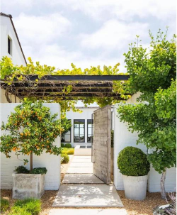 大门口绿化设计,提升居家美感,营造温馨氛围 大门口绿化设计,提升居家美感,营造温馨氛围