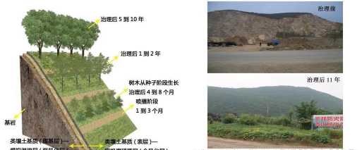 河北矿山环境绿化设计,生态修复关键,植被选择要点 河北矿山环境绿化设计,生态修复关键,植被选择要点