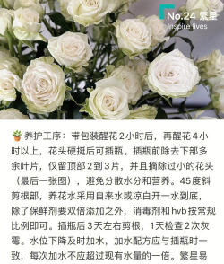 玫瑰花怎么养的久,延长花期技巧,日常养护要点 玫瑰花怎么养的久,延长花期技巧,日常养护要点