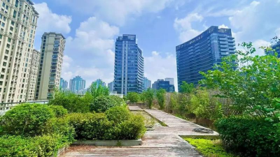 校园绿化设计视频,提升校园环境,打造绿色空间 校园绿化设计视频,提升校园环境,打造绿色空间