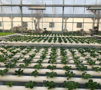 无土栽培产品,提升种植效率,解决空间限制 无土栽培产品,提升种植效率,解决空间限制