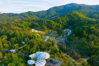 广东现代立体绿化设计,提升城市生态,打造绿色空间 广东现代立体绿化设计,提升城市生态,打造绿色空间