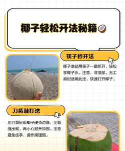 椰子的栽培,掌握关键步骤,轻松收获果实 椰子的栽培,掌握关键步骤,轻松收获果实