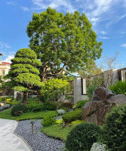 金华绿化花园设计单位,专业打造庭院,提升居住品质 金华绿化花园设计单位,专业打造庭院,提升居住品质