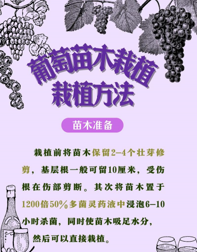 精心栽培的意思,理解深层内涵,掌握正确用法 精心栽培的意思,理解深层内涵,掌握正确用法