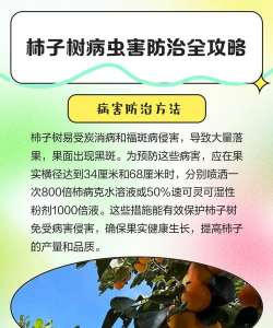 柿树病害防治,识别常见问题,掌握应对方法 柿树病害防治,识别常见问题,掌握应对方法