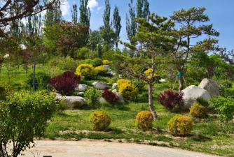 青海垂直绿化设计,提升城市生态,改善居住环境 青海垂直绿化设计,提升城市生态,改善居住环境