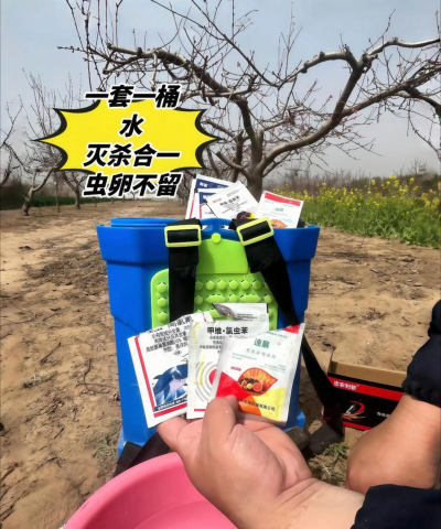 树食心虫怎样防治,找准虫害特征,掌握有效方法 树食心虫怎样防治,找准虫害特征,掌握有效方法