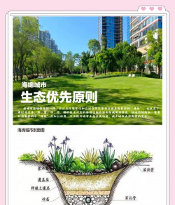 栽培海绵,提升植物成活率,改善根系生长环境 栽培海绵,提升植物成活率,改善根系生长环境