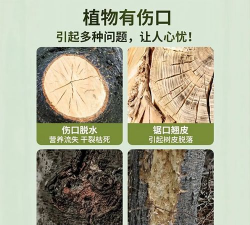 栽培树皮,修复损伤,促进愈合 栽培树皮,修复损伤,促进愈合