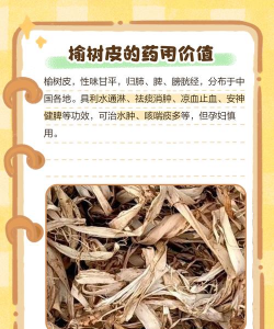 皮树防治用药,常见问题解析,实用方法分享 皮树防治用药,常见问题解析,实用方法分享