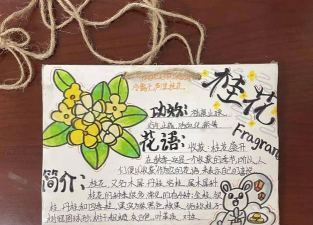 绿化设计寄语怎么写,表达心意,传递美好 绿化设计寄语怎么写,表达心意,传递美好