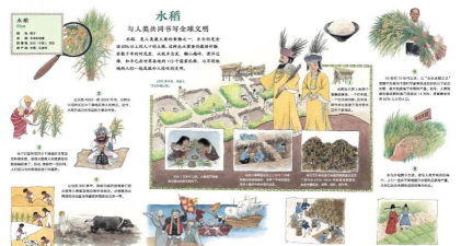 中国人最早栽培的植物,探寻农耕起源,了解文明根基 中国人最早栽培的植物,探寻农耕起源,了解文明根基