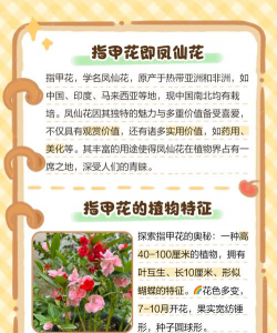 买的花怎么养指甲,常见问题解答,实用养护技巧 买的花怎么养指甲,常见问题解答,实用养护技巧