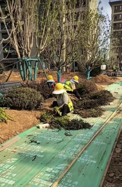 海曙区工厂绿化设计施工,提升厂区环境,改善员工体验 海曙区工厂绿化设计施工,提升厂区环境,改善员工体验