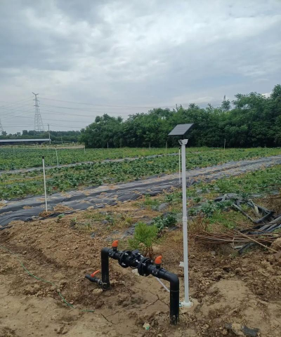 滴灌栽培技术,节水高效,提升作物产量 滴灌栽培技术,节水高效,提升作物产量