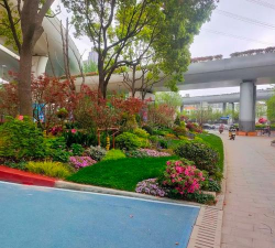 沿街绿化设计图片,提升城市颜值,打造宜居环境 沿街绿化设计图片,提升城市颜值,打造宜居环境