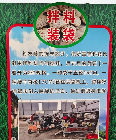 菇菇栽培研究室攻略,掌握关键技巧,轻松收获满满 菇菇栽培研究室攻略,掌握关键技巧,轻松收获满满