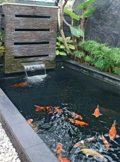 江苏高级鱼池绿化设计,提升观赏价值,打造生态平衡 江苏高级鱼池绿化设计,提升观赏价值,打造生态平衡