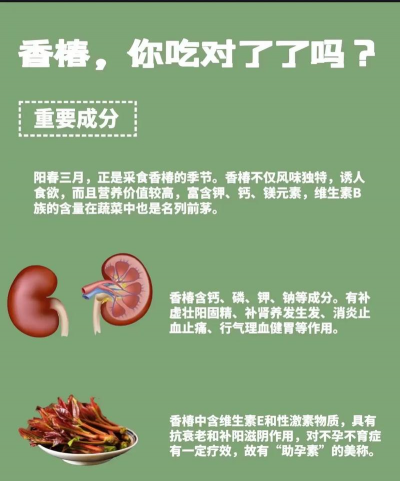 香椿树栽培,选对方法,轻松上手 香椿树栽培,选对方法,轻松上手