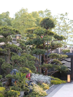 龙岩有没有设计绿化,绿化设计服务,专业团队选择 龙岩有没有设计绿化,绿化设计服务,专业团队选择