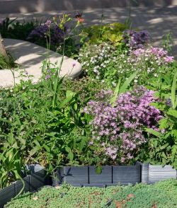 广西普通立体绿化设计,提升城市生态,美化居住环境 广西普通立体绿化设计,提升城市生态,美化居住环境