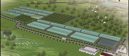 陕西田园立体绿化设计,提升乡村美感,打造生态家园 陕西田园立体绿化设计,提升乡村美感,打造生态家园