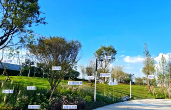 河坝绿化设计品种分类,选对植物,提升生态效果 河坝绿化设计品种分类,选对植物,提升生态效果