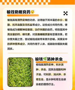 榆钱树虫子防治,识别常见虫害,掌握有效方法 榆钱树虫子防治,识别常见虫害,掌握有效方法