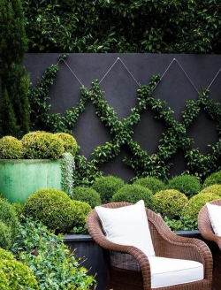 绿化图片创意设计,提升视觉吸引力,打造独特风格 绿化图片创意设计,提升视觉吸引力,打造独特风格