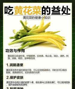 黄花菜的栽培技术,掌握关键步骤,轻松收获美味 黄花菜的栽培技术,掌握关键步骤,轻松收获美味