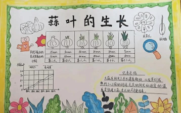 中小学生植物栽培大赛,激发动手兴趣,培养科学素养 中小学生植物栽培大赛,激发动手兴趣,培养科学素养